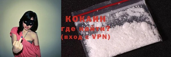 крисы Магас