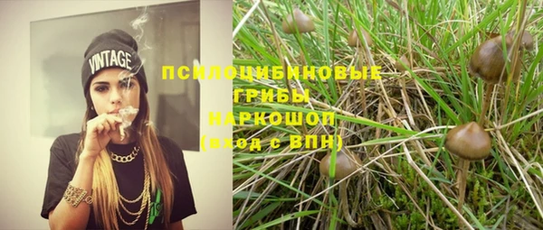 герыч Алексин