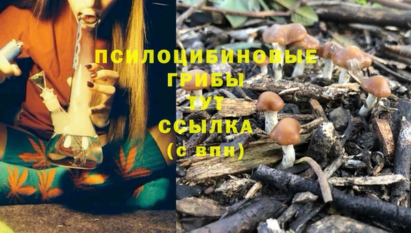 соль курить ск Алексеевка
