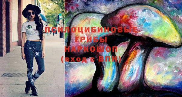 соль курить ск Алексеевка