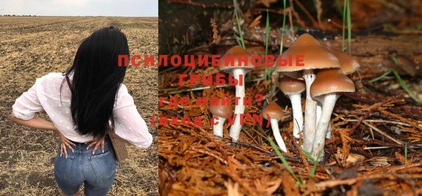 герыч Алексин